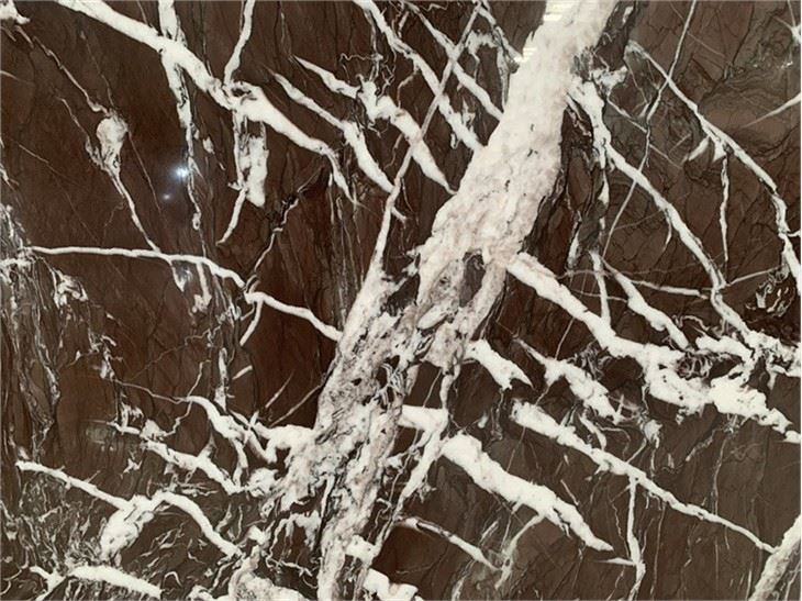 Majestic Rose Marble tiles