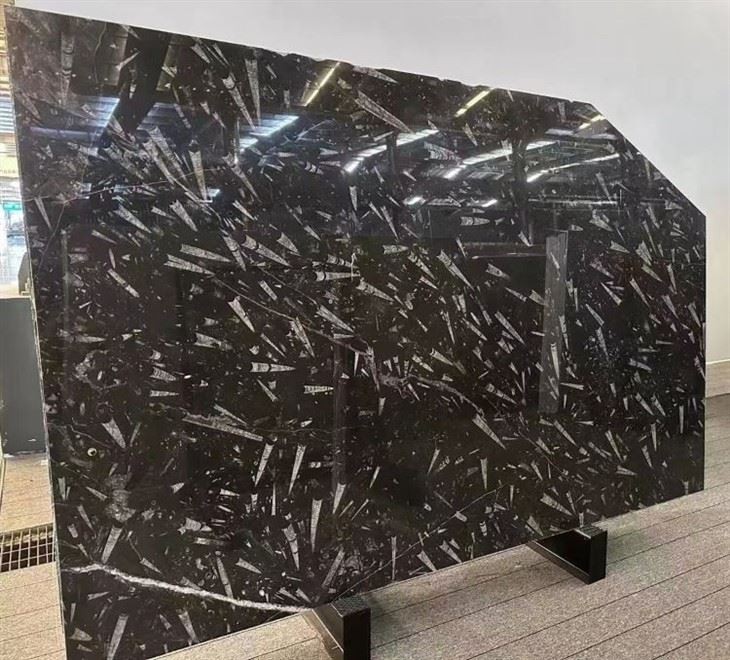 Marmor Fossile Nero Fossil Black Marble Tile