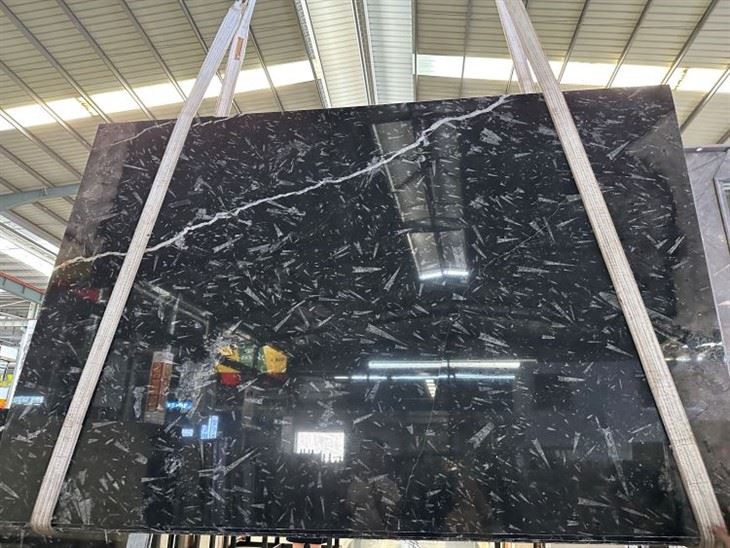 Marmor Fossile Nero Fossil Black Marble Wall Decor