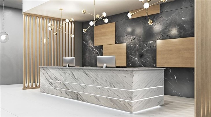 Black Negresco Quartzite Slab