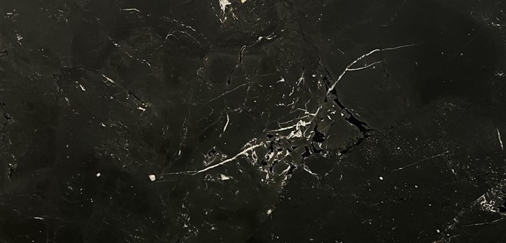 Black Negresco Quartzite Slab