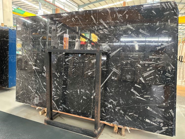 Marmor Fossile Nero Fossil Black Marble Flooring Marmor Fossile Nero Fossil Black Marble Flooring