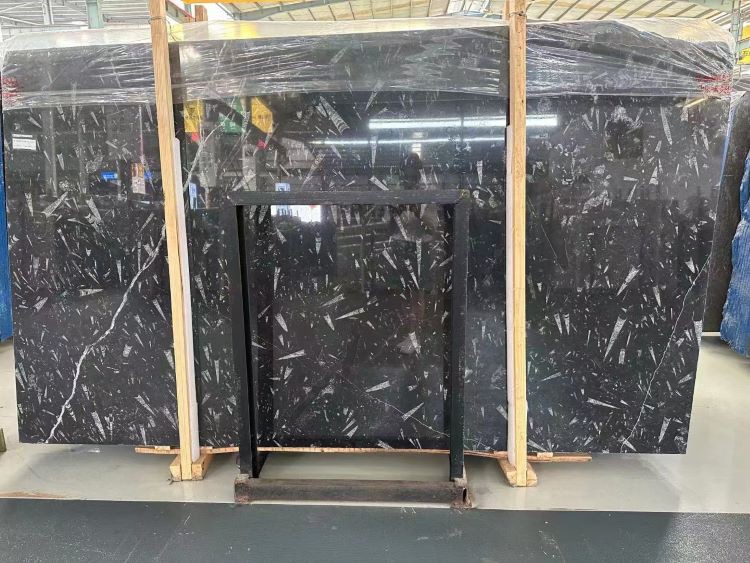 Marmor Fossile Nero Fossil Black Marble Slab Marmor Fossile Nero Fossil Black Marble Slab
