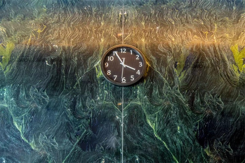 Verde fusion granite polished Verde fusion granite polished