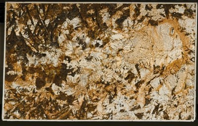 Зевс Золотой Гранит